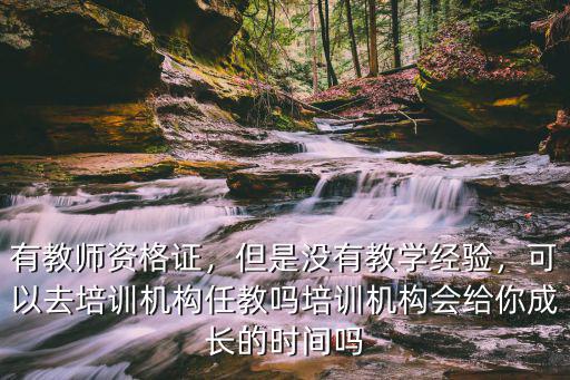 有教师资格证，但是没有教学经验，可以去培训机构任教吗培训机构会给你成长的时间吗