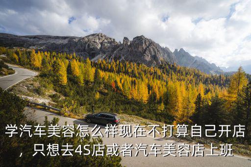 学汽车美容怎么样现在不打算自己开店，只想去4S店或者汽车美容店上班