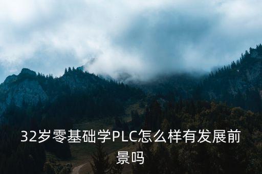 32岁零基础学PLC怎么样有发展前景吗