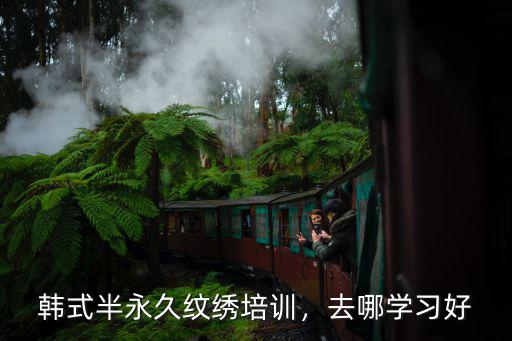 韩式半永久纹绣培训，去哪学习好