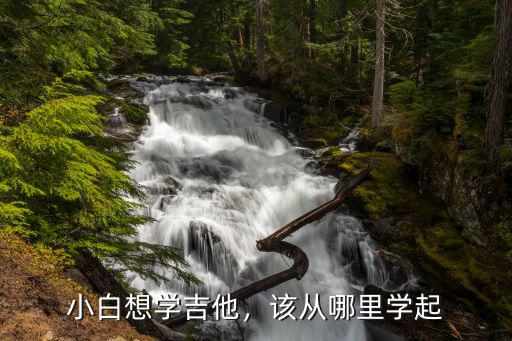 平湖哪里可以学吉他,自学吉他的线上课程哪里好