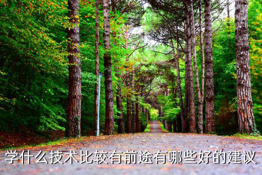 学什么技术比较有前途有哪些好的建议