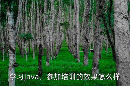 培训效果怎么样,日语培训效果好不好