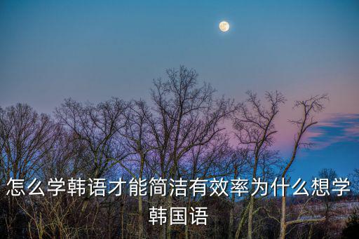 怎么学韩语才能简洁有效率为什么想学韩国语