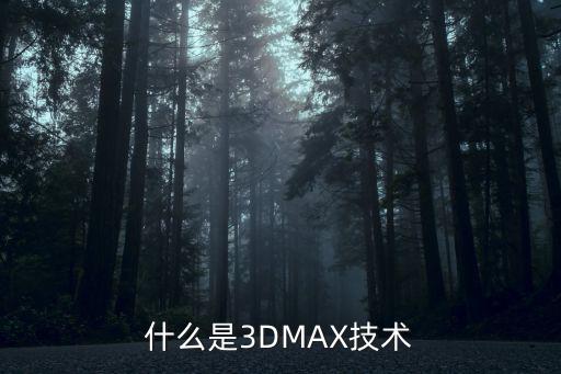 什么是3DMAX技术