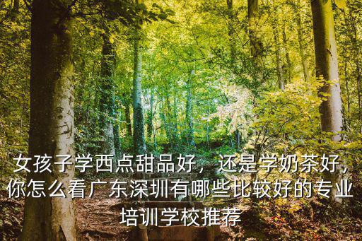 女孩子学西点甜品好，还是学奶茶好，你怎么看广东深圳有哪些比较好的专业培训学校推荐
