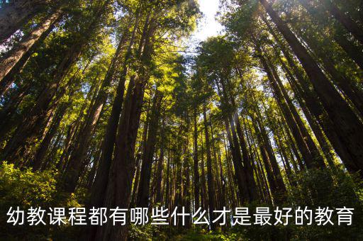 幼教课程都有哪些什么才是最好的教育