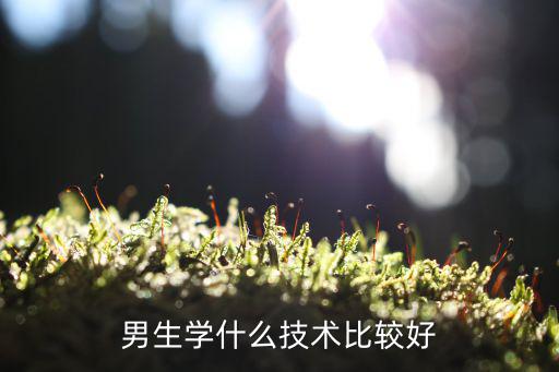 男生学什么技术比较好