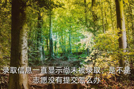 录取信息一直显示尚未被录取，是不是志愿没有提交怎么办