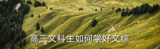 高三文科生如何学好文综