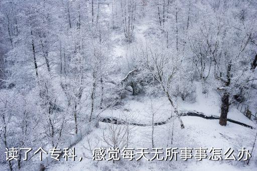 读了个专科，感觉每天无所事事怎么办