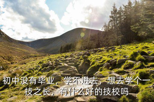 初中没有毕业，学不进去，想去学个一技之长，有什么好的技校吗