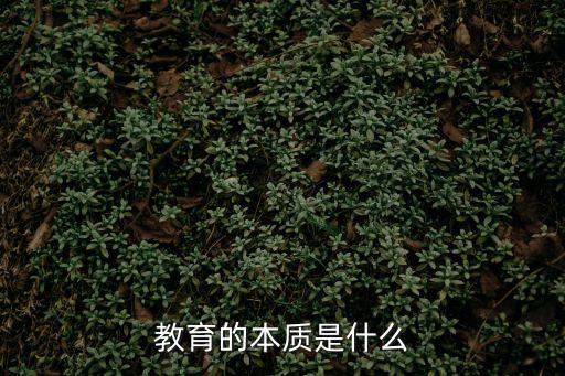 教师的本质是什么,教育的本质是什么