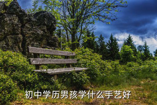 初中学历男孩学什么手艺好