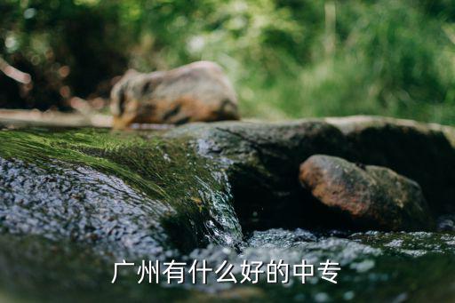广州有什么好的中专