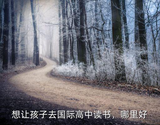 北京国际高中怎么入学,北京哪家国际高中好