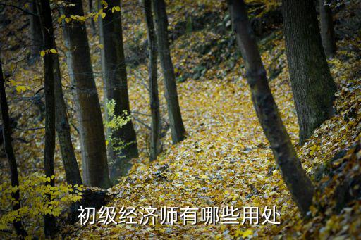 初级经济师是什么,什么是助理经济师