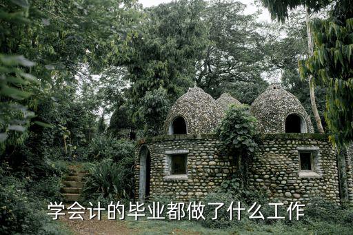 学会计的毕业都做了什么工作
