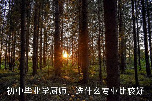 初中毕业学厨师，选什么专业比较好