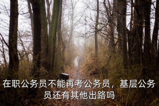 在职公务员不能再考公务员，基层公务员还有其他出路吗