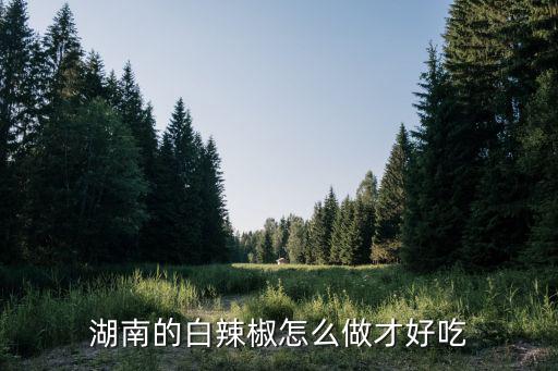 湖南的白辣椒怎么做才好吃