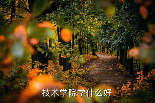 什么技术学院好,技术学院学什么好