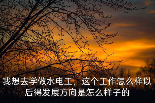 瑞安哪里有学水电工的,我想去学做水电工