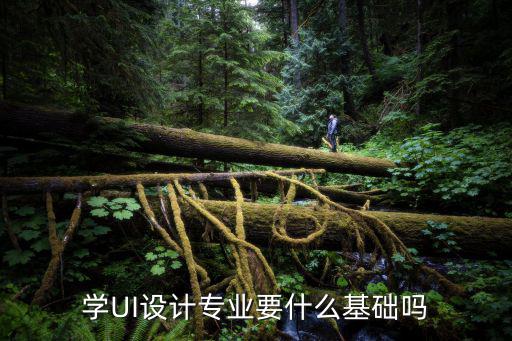 ui设计应该学什么专业,大学报专业应该学什么专业