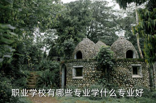 职业学校有哪些专业学什么专业好
