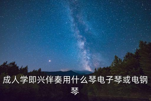 成人电子琴是什么,成人初学者学电子琴