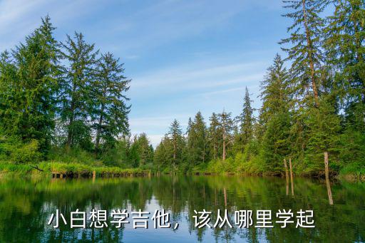 小白想学吉他，该从哪里学起