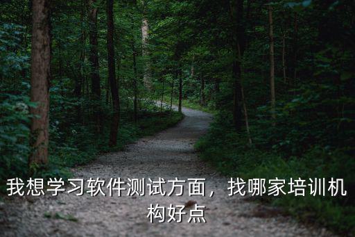 什么软件找培训机构,哪个软件测试培训机构比较好