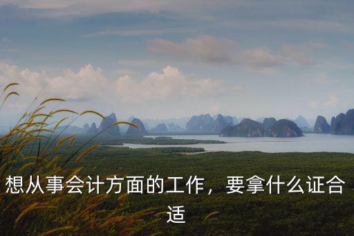 想从事会计方面的工作，要拿什么证合适