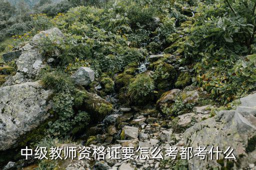 中级教师资格证要怎么考都考什么