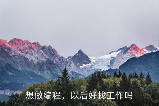 想做编程，以后好找工作吗