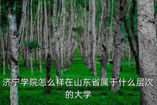 济宁学院怎么样在山东省属于什么层次的大学