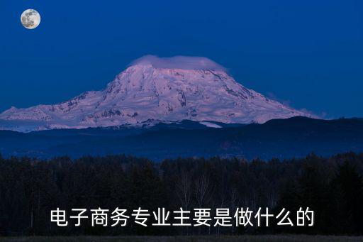 电子商务专业主要是做什么的