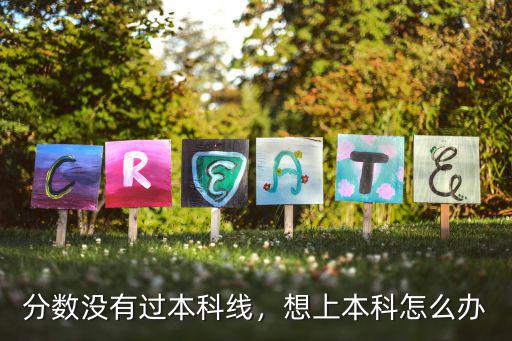 怎么才能上本科,高三怎么做才能上本科