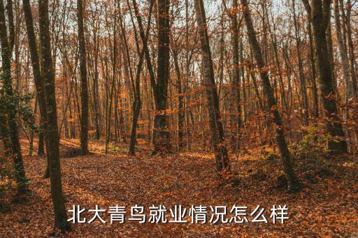 北大青鸟什么时候春招,北大青鸟就业情况怎么样