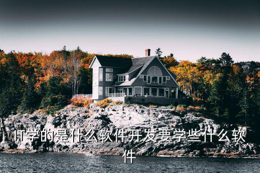 学计算机是学什么软件开发,IT学的是什么