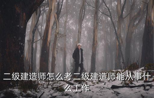 二级建造师主要干什么,二级建造师怎么考