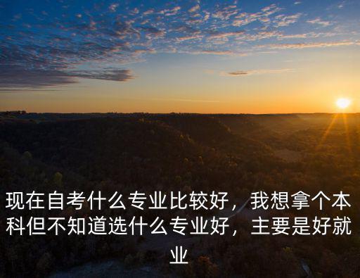 现在自考什么专业比较好，我想拿个本科但不知道选什么专业好，主要是好就业
