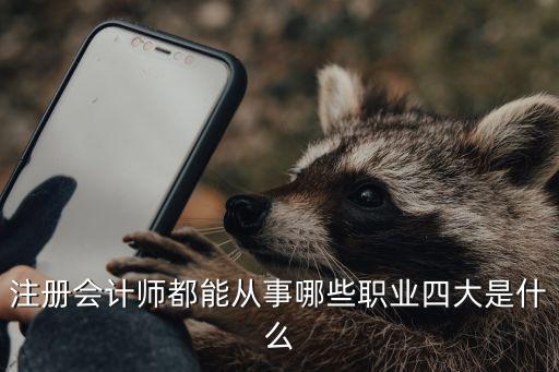 注册注册会计师可以应聘什么岗位,通过注册会计师考试后