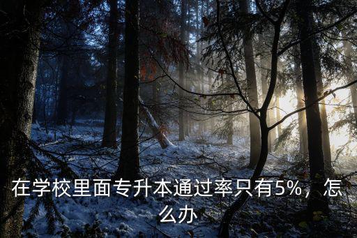 专升本没考过怎么办,专升本没有考上怎么办