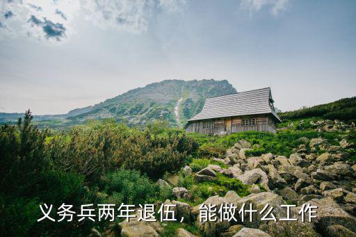 义务兵两年退伍，能做什么工作