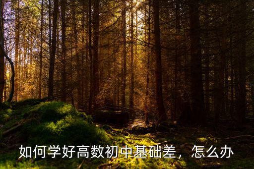 如何学好高数初中基础差，怎么办