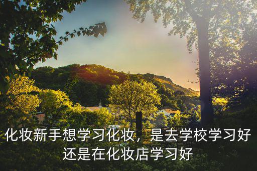 化妆新手想学习化妆，是去学校学习好还是在化妆店学习好