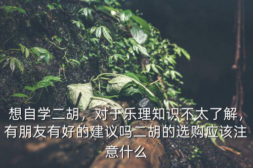 想自学二胡，对于乐理知识不太了解，有朋友有好的建议吗二胡的选购应该注意什么