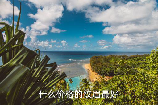 什么价格的纹眉最好