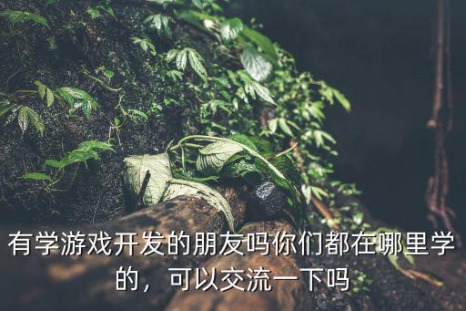 有学游戏开发的朋友吗你们都在哪里学的，可以交流一下吗